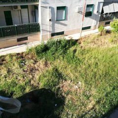 Appello al neo assessore all'Ambiente, Del Giudice: "Qui a San Valentino brucia tutto"