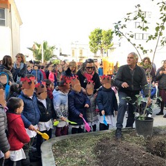 Festa dell'Albero appuntamento all’I. C. 'Don Bosco-Manzoni'