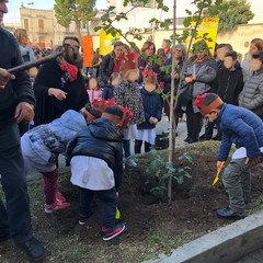 Festa dell'Albero appuntamento all’I. C. 'Don Bosco-Manzoni'