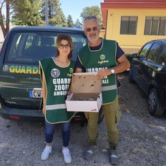 Guardie Zoofile di Fareambiente, Antonio Cannone e Rosalia Leonetti