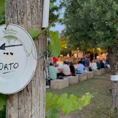 un successo la serata pro Calcit nell’orto di Pietro Zito a Montegrosso