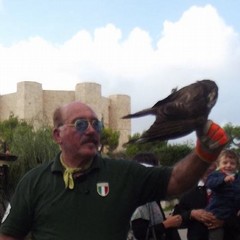 Poiana recuperata sulla Murgia