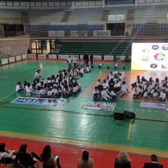 Polisportiva Andria