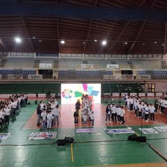 Polisportiva Andria