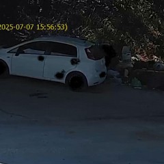 Abbandono di rifiuti