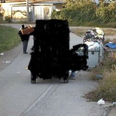 Abbandono di rifiuti