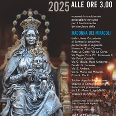 Processione notturna della Madonna dei Miracoli
