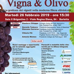 Programma manifesto Vigna Olivo Barletta