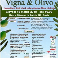 Programma Vigna Olivo Andria