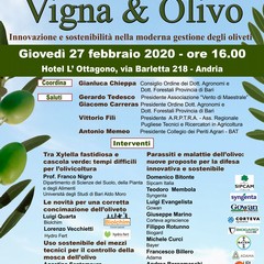 Programma Vigna Olivo Andria