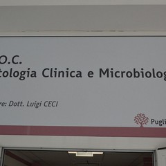 pulizia e sistemazione laboratorio di patologia clinica bonomo