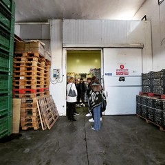Laboratori aziendali per “operatore agricolo” realizzati ad Andria