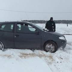 recupero Fiat Punto