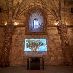 Mostra a Castel del Monte: “Il potere dell’armonia. Federico II e il De Arte venandi cum avibus”