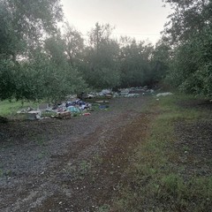 rifiuti nelle campagne di Andria