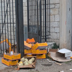 rifiuti mercato
