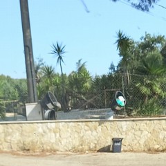Raccolta rifiuti "a singhiozzo" nella zona di Montevitolo