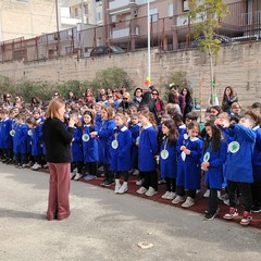 scuola "Gianni Rodari"