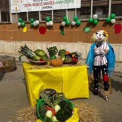 scuola "Gianni Rodari"