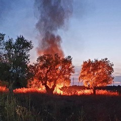 Discariche a cielo aperto date alle fiamme: accade su via Corato