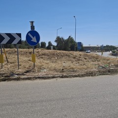 Rotatorie Andria Trani