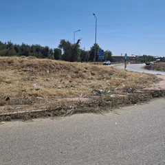 Rotatorie Andria Trani