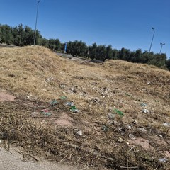 Rotatorie Andria Trani