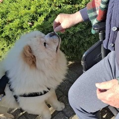 giornata di affetto, comunità e sorrisi nel segno di San Francesco d’Assisi