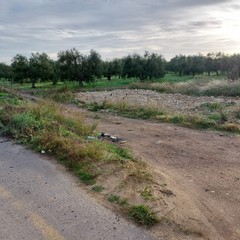 Provinciale Andria Canosa: permangono le carenze e le difficoltà per gli agricoltori