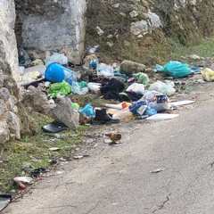 Discarica a cielo aperto in via Salvatore Liddo: il degrado continua