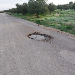 Provinciale Andria Canosa: permangono le carenze e le difficoltà per gli agricoltori