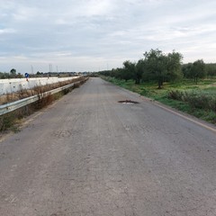 Provinciale Andria Canosa: permangono le carenze e le difficoltà per gli agricoltori