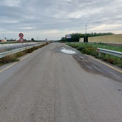 Provinciale Andria Canosa: permangono le carenze e le difficoltà per gli agricoltori