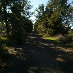 Strada comunale per San Leonardo