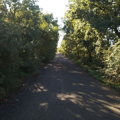 Strada comunale per San Leonardo