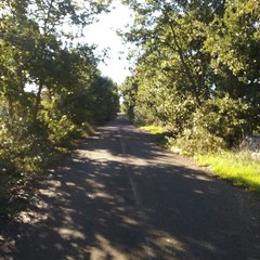 Strada comunale per San Leonardo