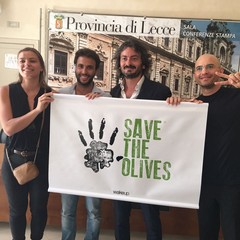 save the olives