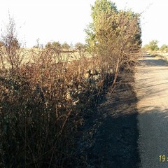 SC POZZELLE