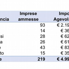 scheda con le informazioni utili per l'accesso alla misura economica