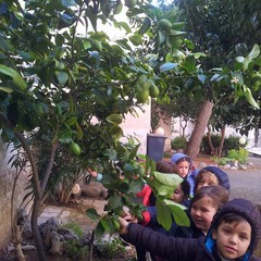 Scuola dell’infanzia “Oasi San Francesco”
