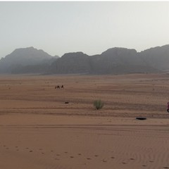 Screenshot Gallery