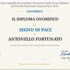 segno di Pace al centro Zenith di Andria