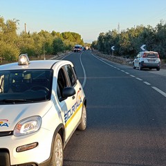 Grave incidente stradale sulla via che da Andria porta a Castel del Monte