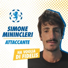 simone minincleri sis