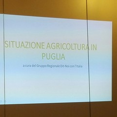 slide agricoltura