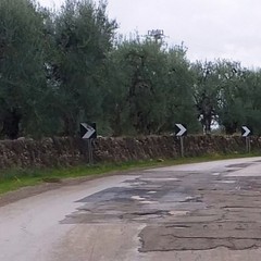 Sempre più precaria la viabilità verso Montegrosso e Canosa di Puglia