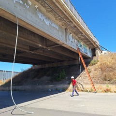 Camion trancia cavo della Telecom sotto il ponte della tangenziale