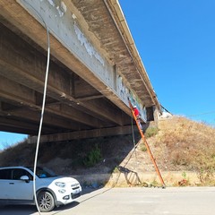 Camion trancia cavo della Telecom sotto il ponte della tangenziale