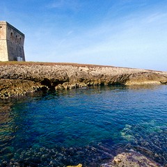 TORRE GUACETO