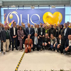 Trieste Olio Capitale